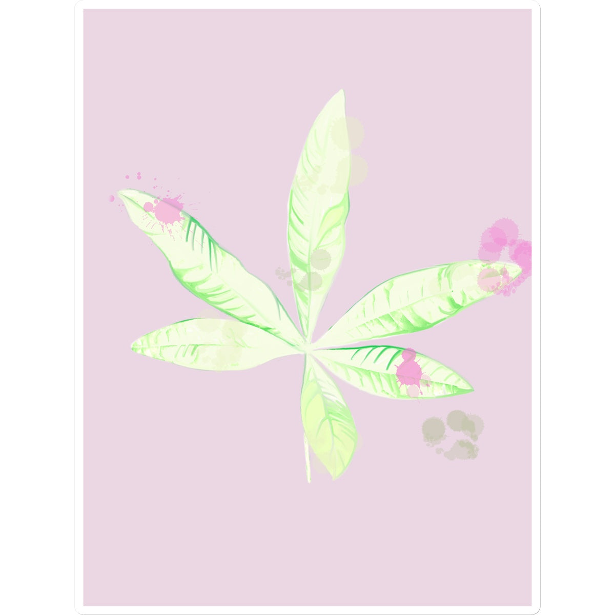 Pachira Houseplant Sticker