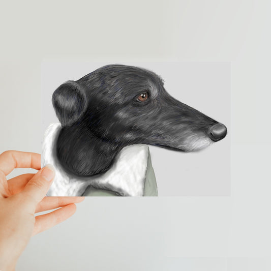 Greyhound Portrait Classic Postcard