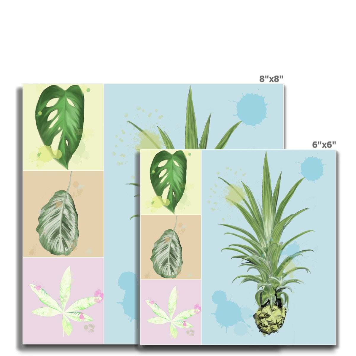 Houseplants Fine Art Print