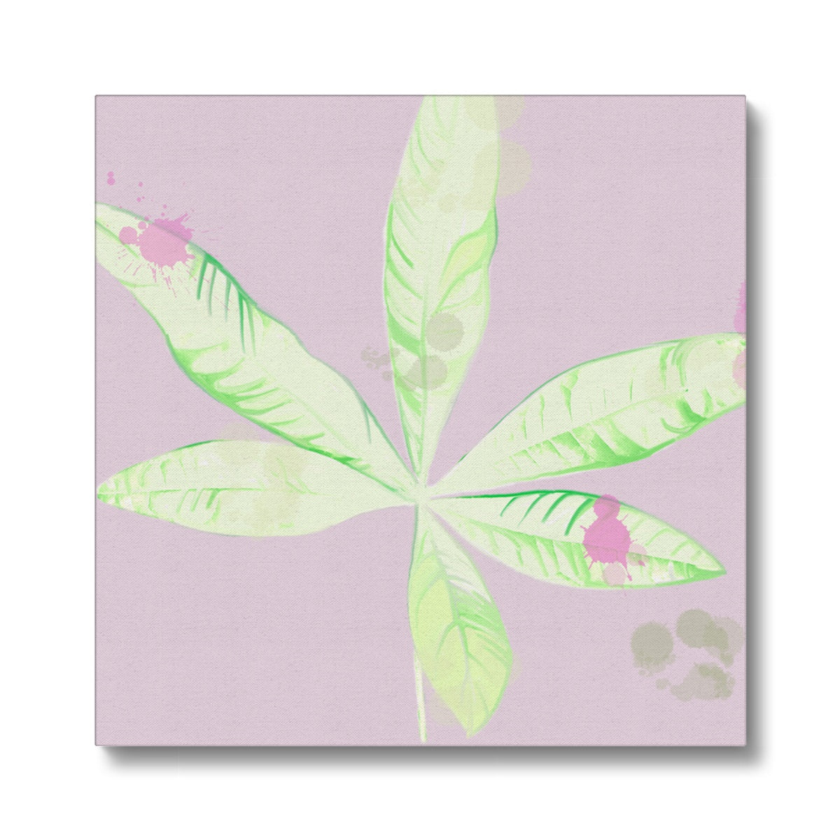 Pachira Houseplant Canvas