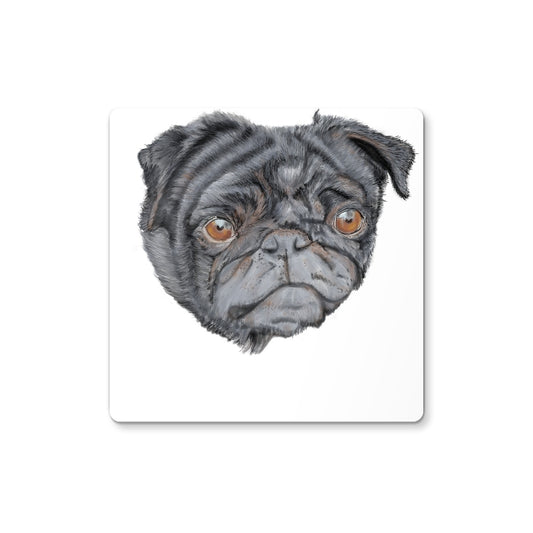 Pug Portrait  Coaster