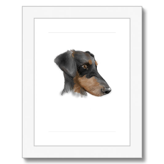 Dobermann Portrait  Framed & Mounted Print