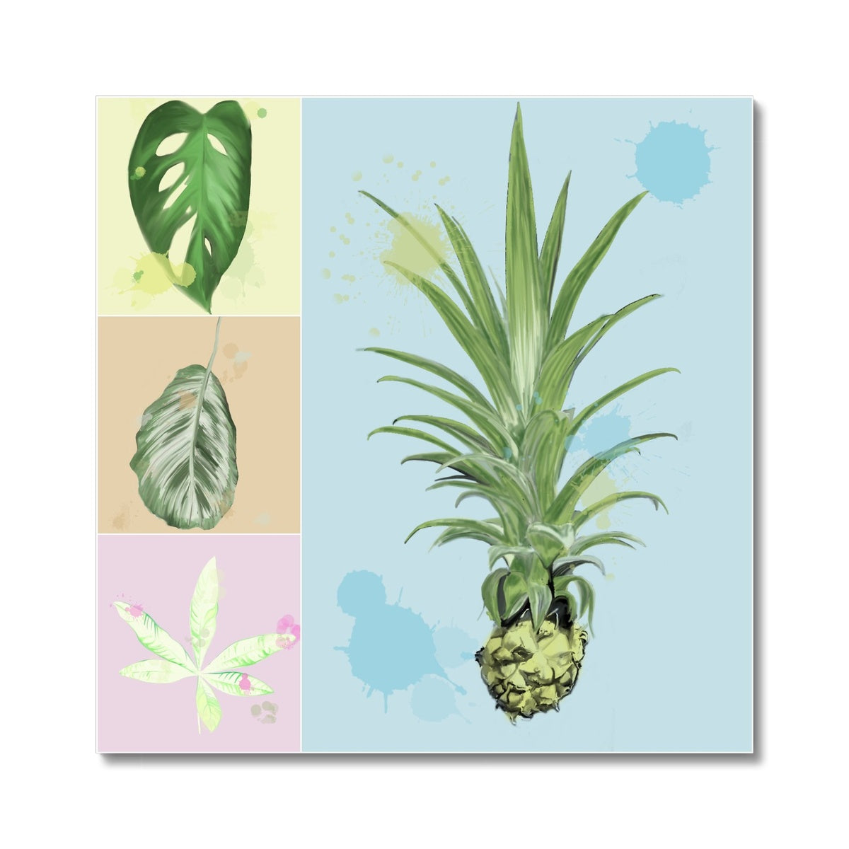 Houseplants Fine Art Print