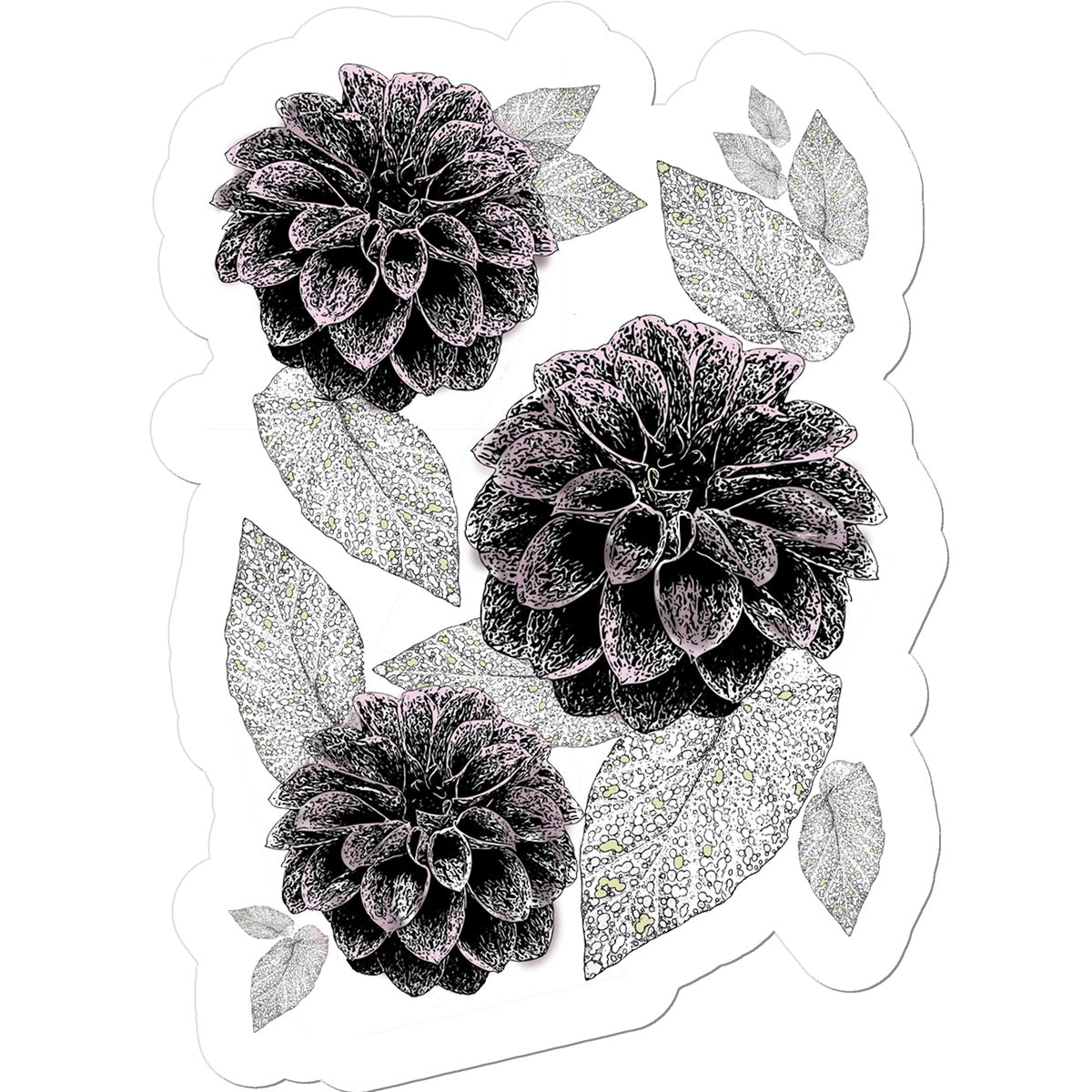 Dahlia Craze Sticker