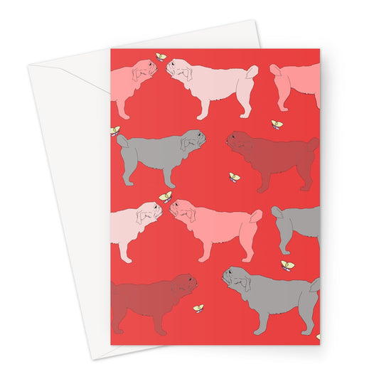 Rainbow Dogs Pug  Greeting Card