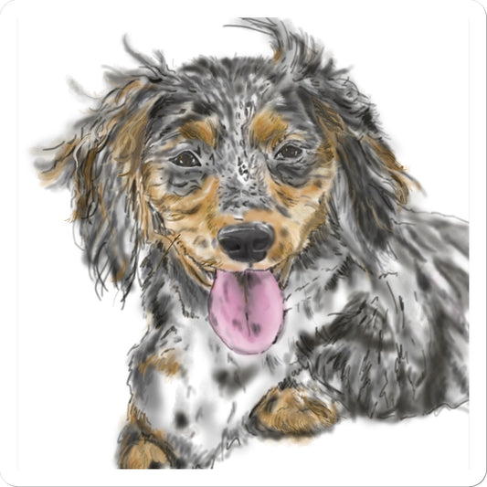 Dachshund Cross Portrait  Sticker