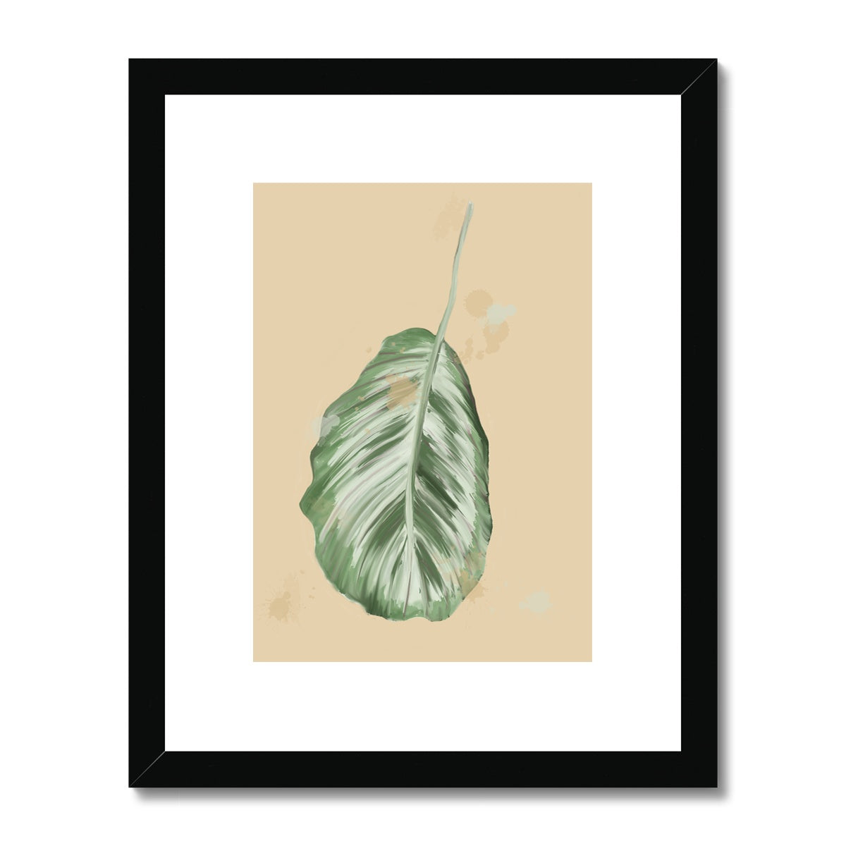 Peacock Houseplant  Framed & Mounted Print