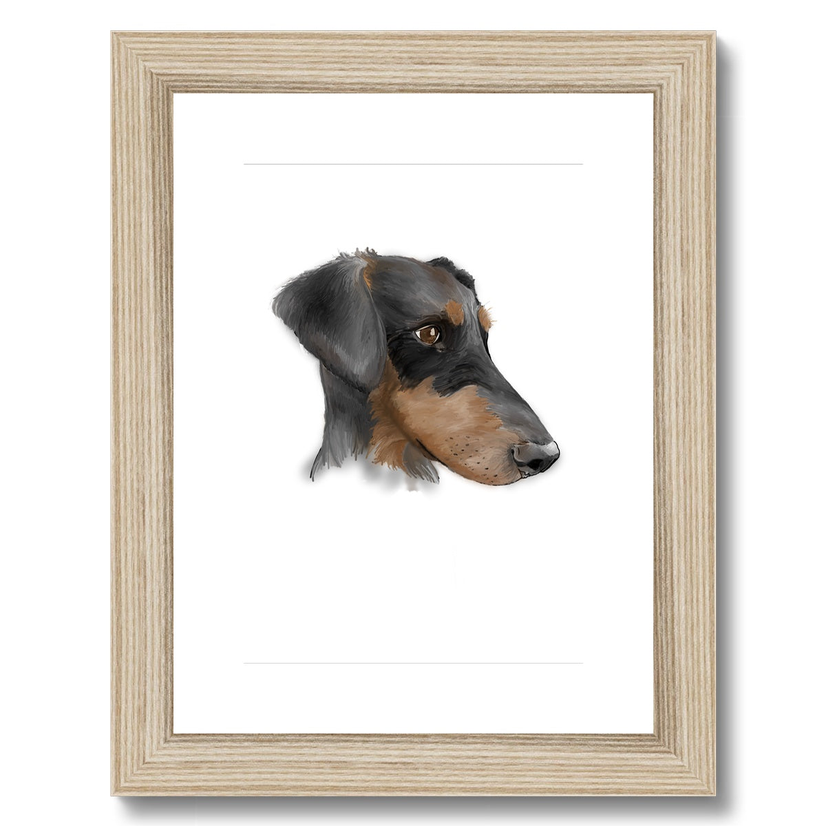 Dobermann Portrait  Framed & Mounted Print