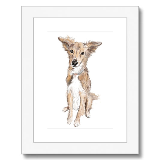 Saluki Portrait  Framed & Mounted Print