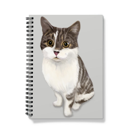 Customer Request Hector Notebook