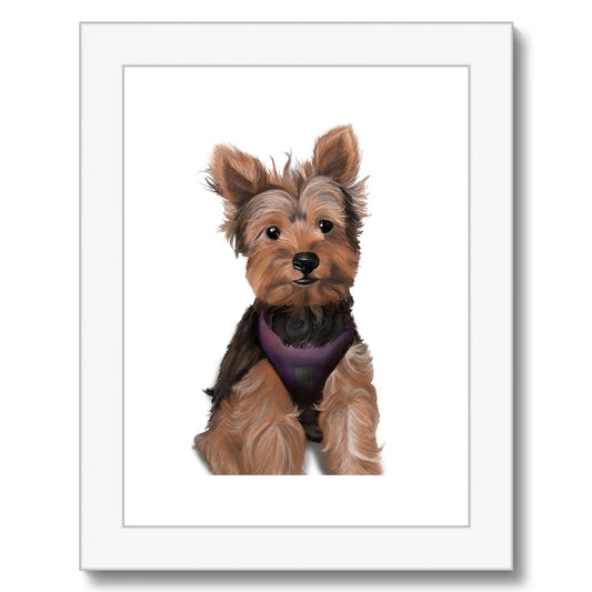 Customer Request Griffin Framed & Mounted Print