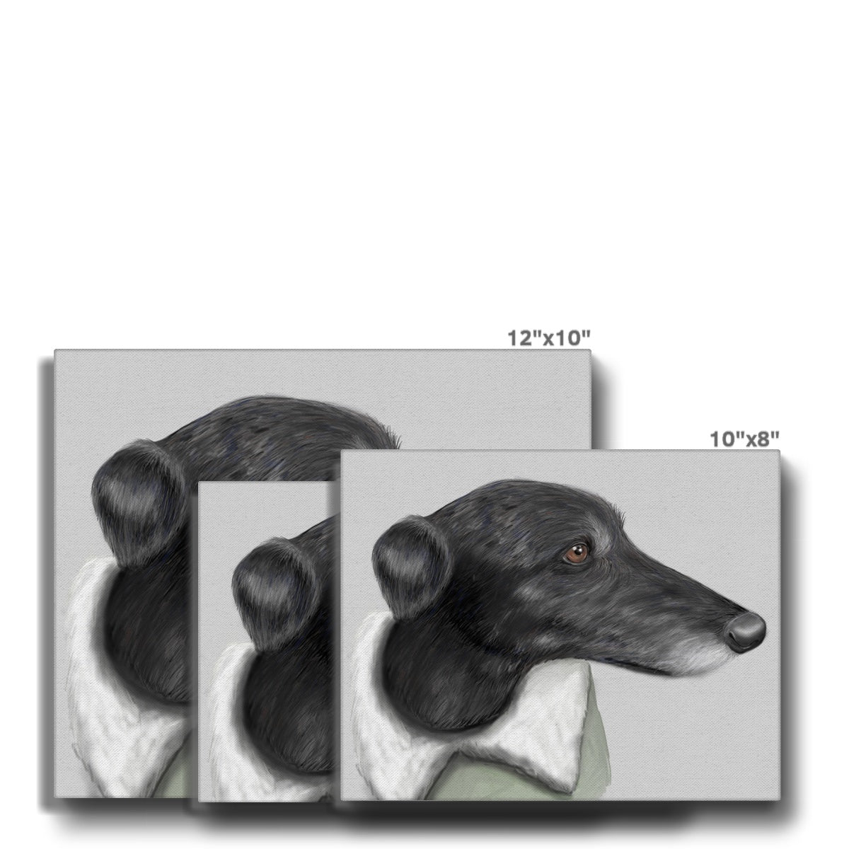 Greyhound Portrait Canvas