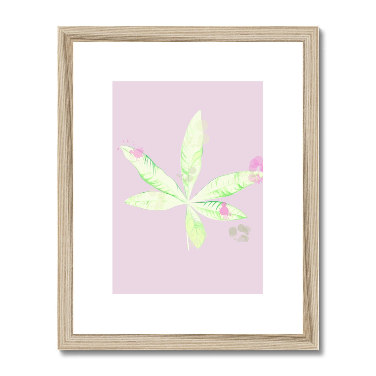 Pachira Houseplant Framed & Mounted Print