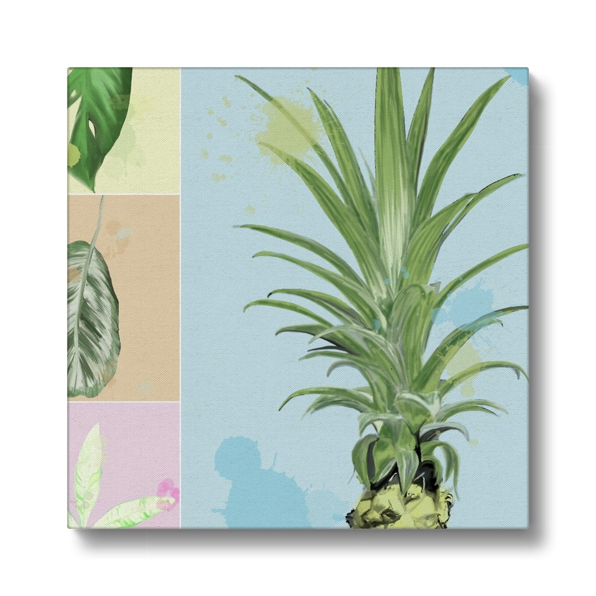 Houseplants Canvas