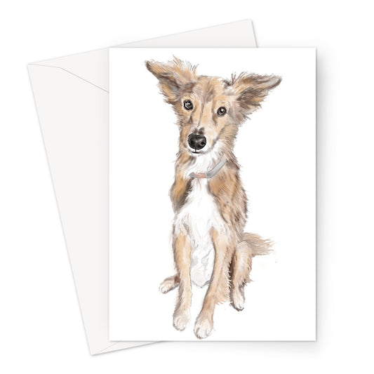 Saluki Portrait  Greeting Card