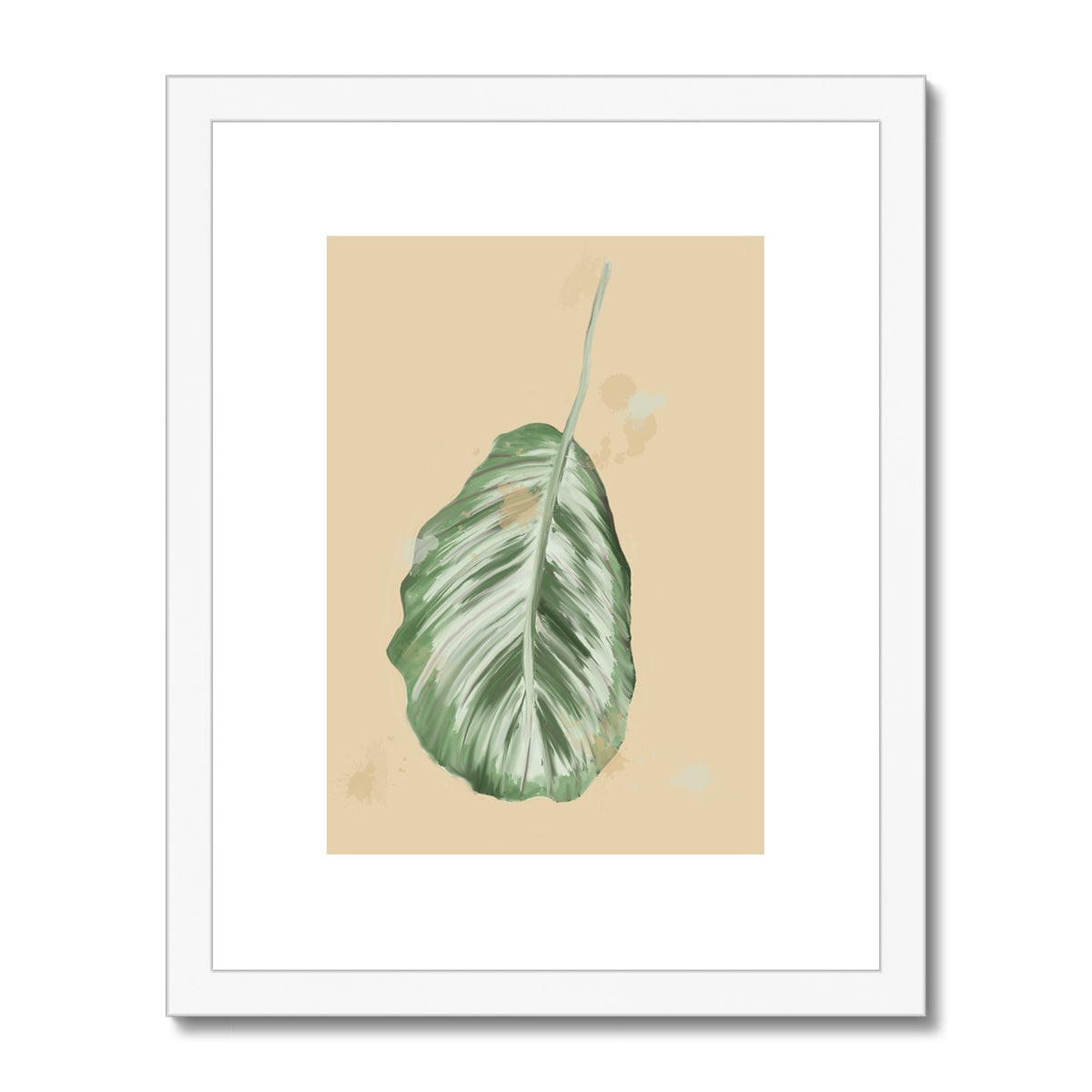 Peacock Houseplant  Framed & Mounted Print