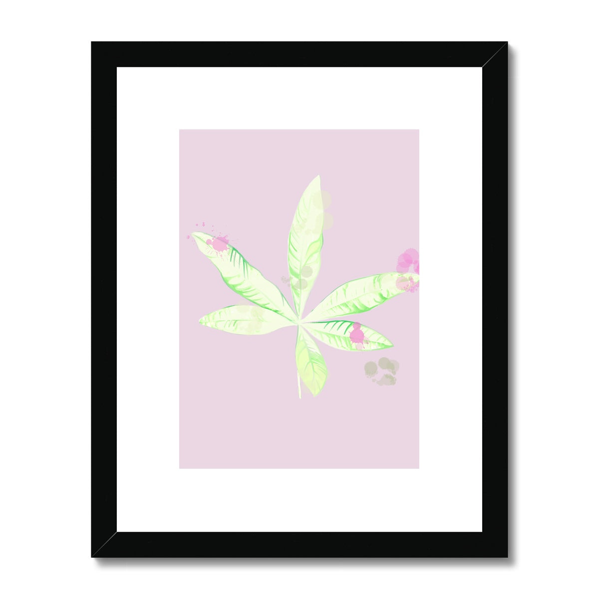 Pachira Houseplant Framed & Mounted Print