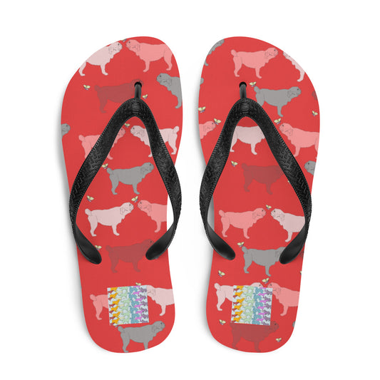 Rainbow Dogs Pugs Flip-Flops